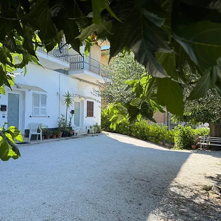 I Due Gelsi Monte San Giusto